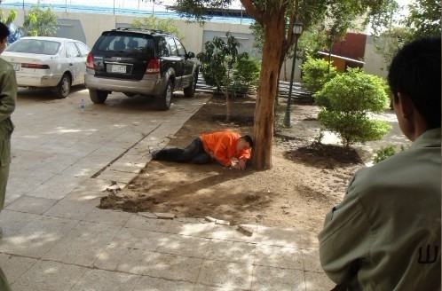 学习利用树木遮蔽